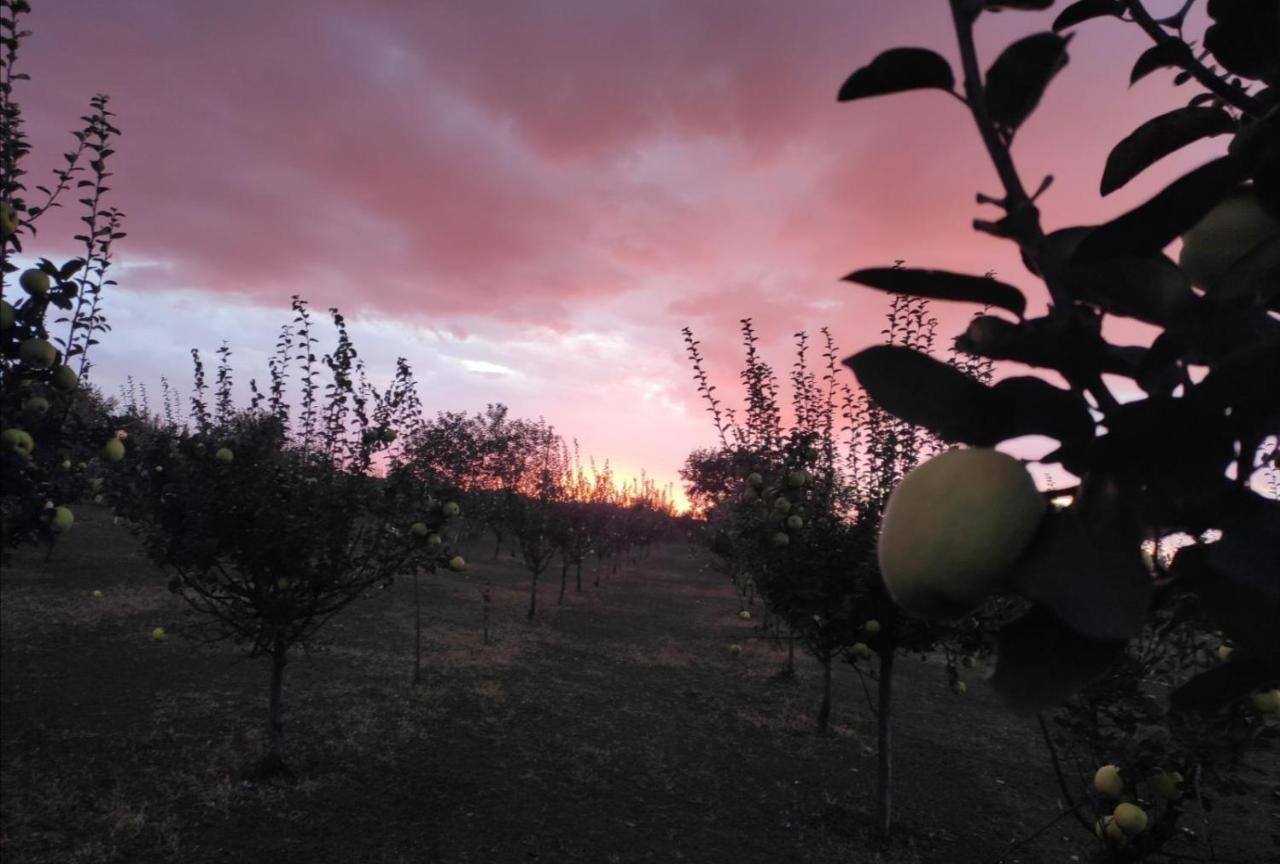 Salas Farma 47-Miris Dunja Cenej Exterior foto