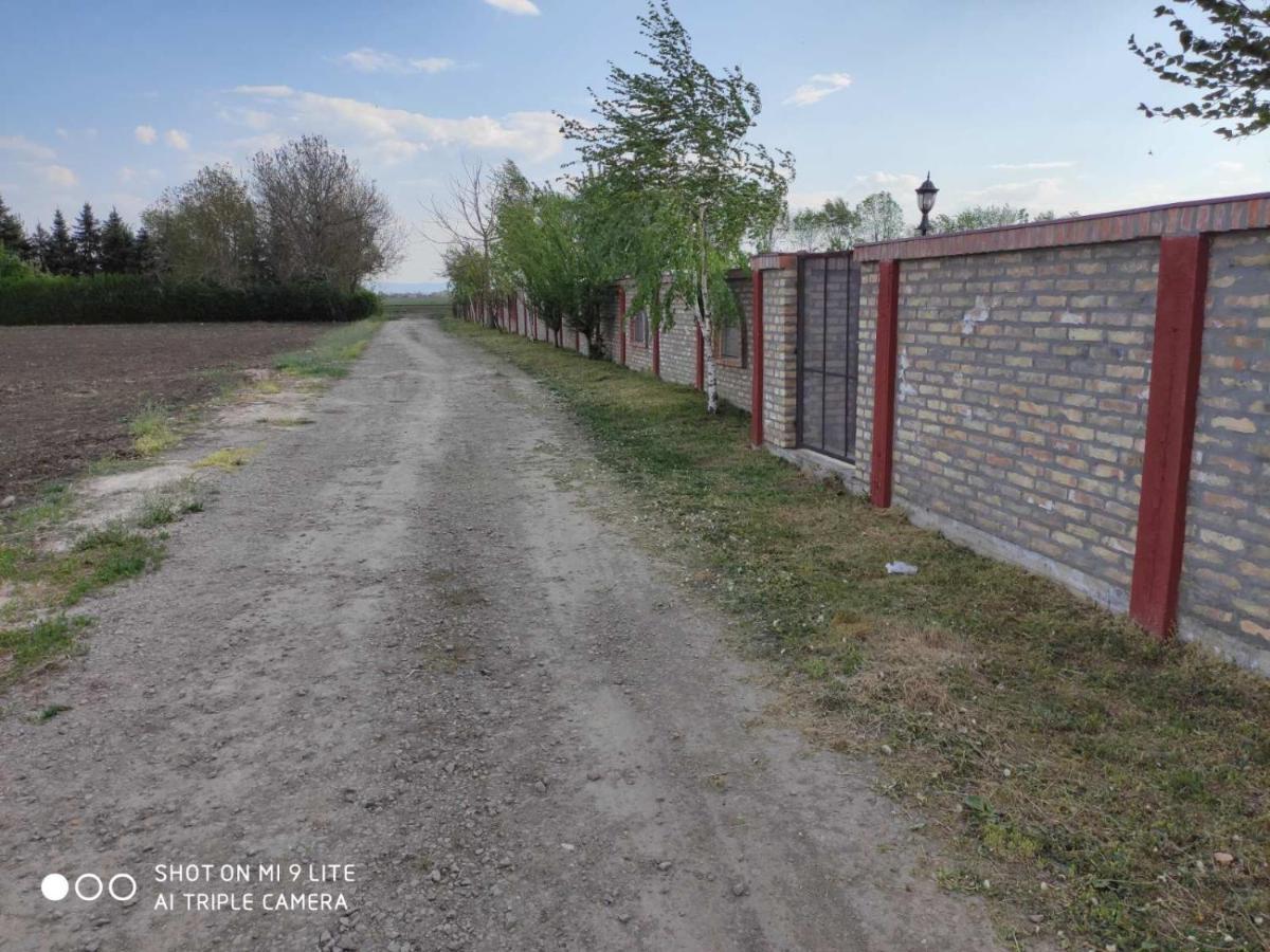 Salas Farma 47-Miris Dunja Cenej Exterior foto