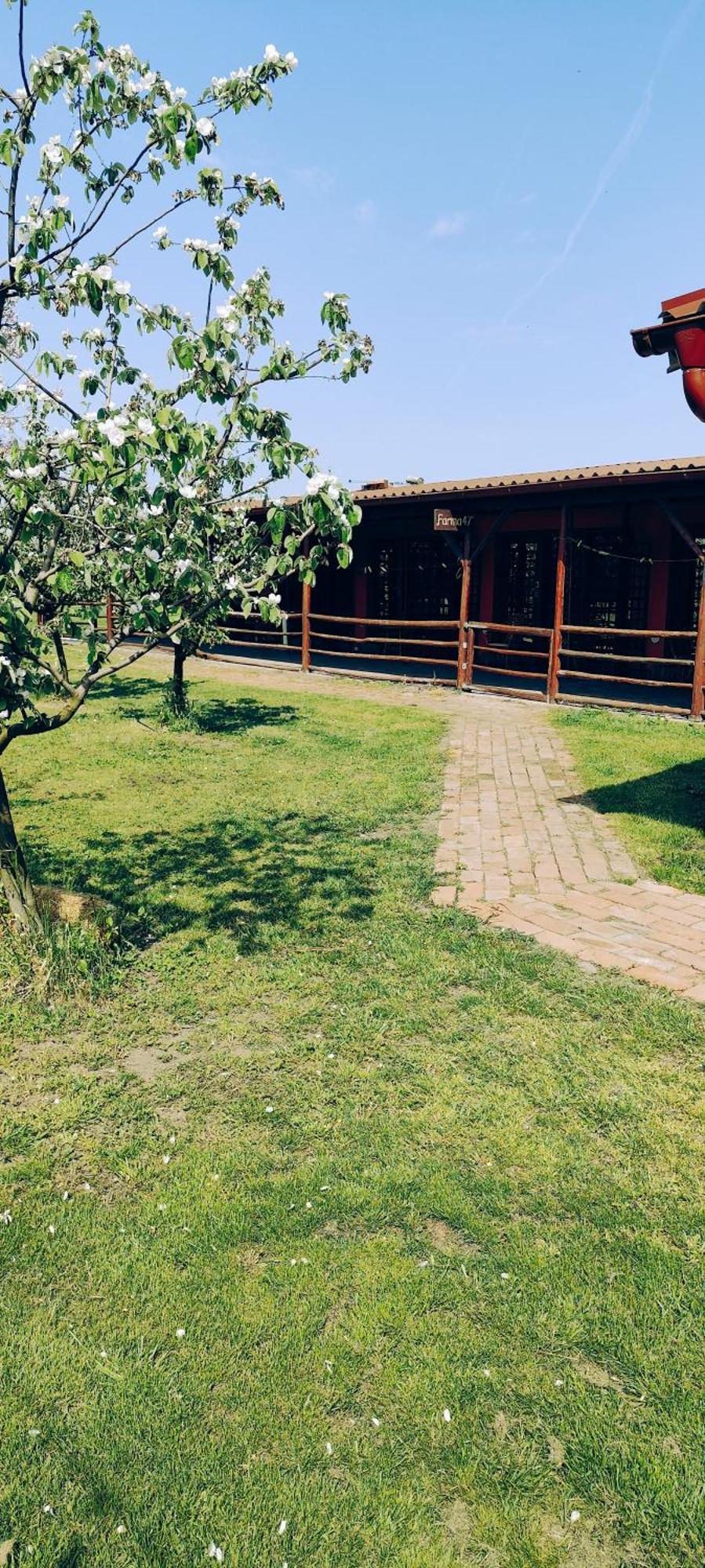Salas Farma 47-Miris Dunja Cenej Exterior foto