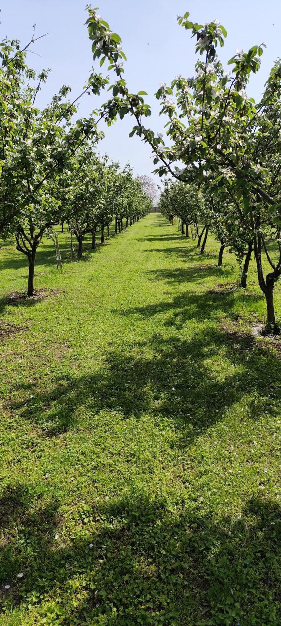 Salas Farma 47-Miris Dunja Cenej Exterior foto
