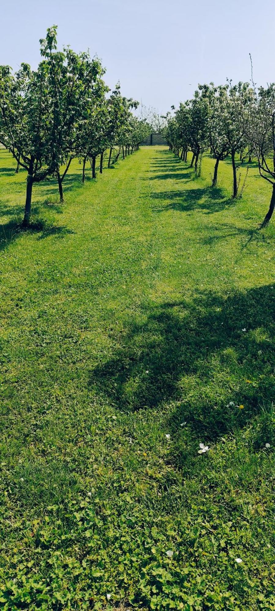 Salas Farma 47-Miris Dunja Cenej Exterior foto