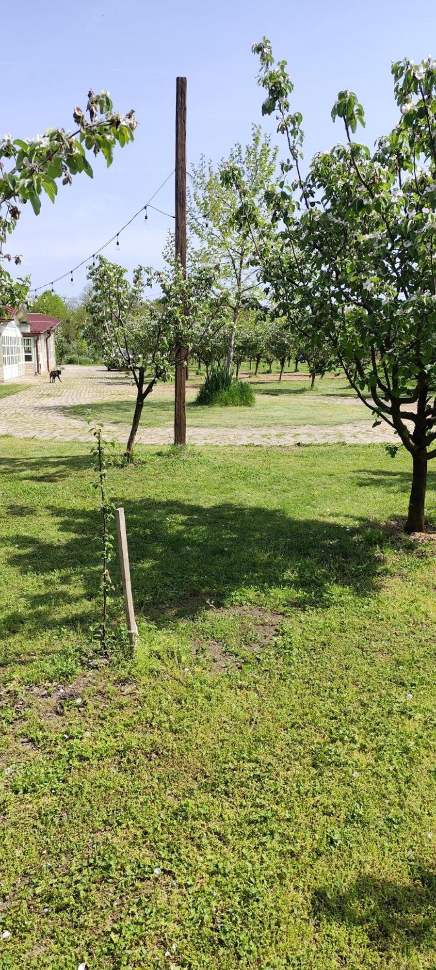 Salas Farma 47-Miris Dunja Cenej Exterior foto