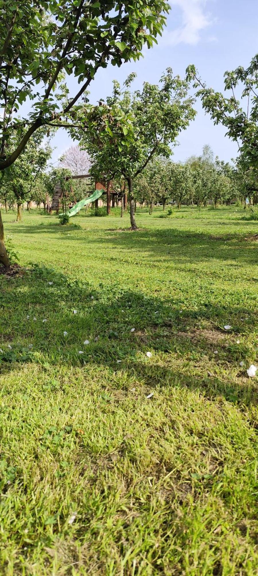 Salas Farma 47-Miris Dunja Cenej Exterior foto