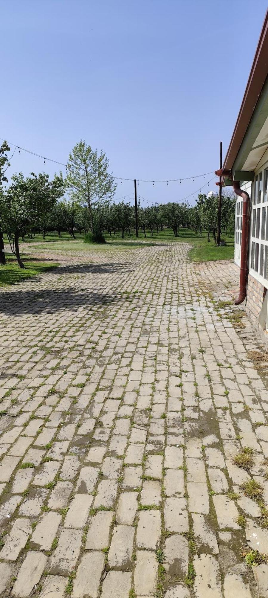 Salas Farma 47-Miris Dunja Cenej Exterior foto