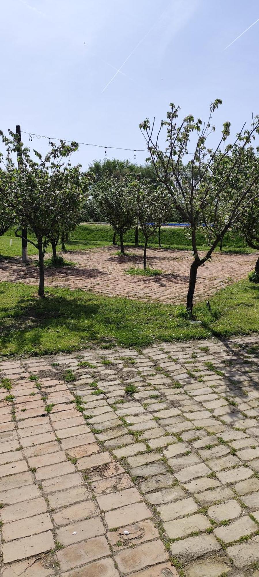 Salas Farma 47-Miris Dunja Cenej Exterior foto