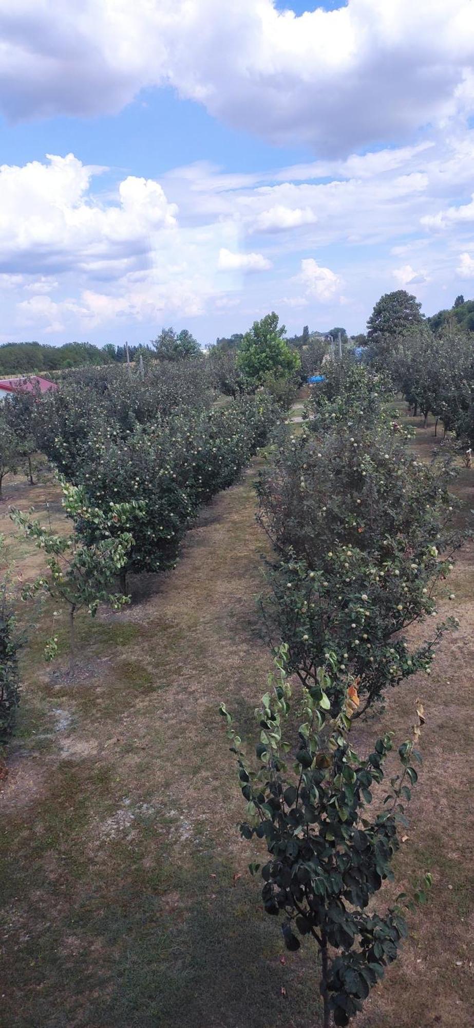 Salas Farma 47-Miris Dunja Cenej Exterior foto