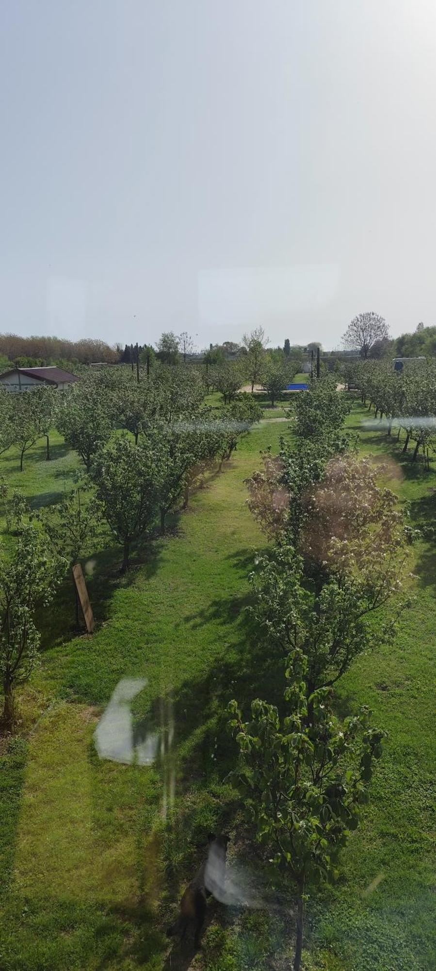 Salas Farma 47-Miris Dunja Cenej Exterior foto