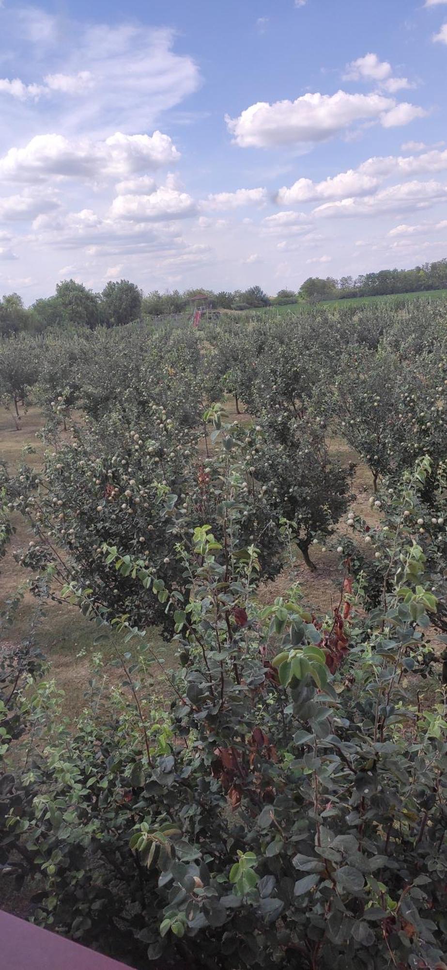 Salas Farma 47-Miris Dunja Cenej Exterior foto