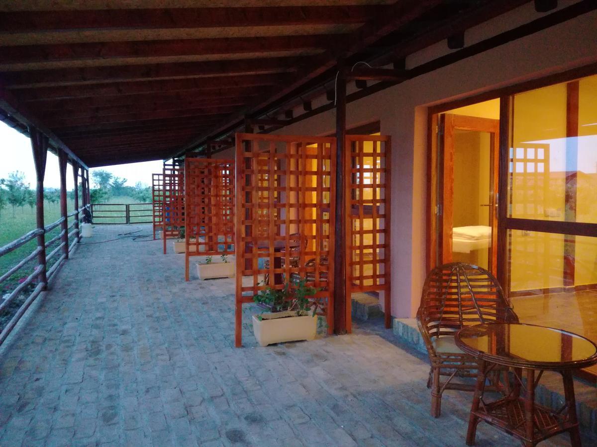 Salas Farma 47-Miris Dunja Cenej Exterior foto